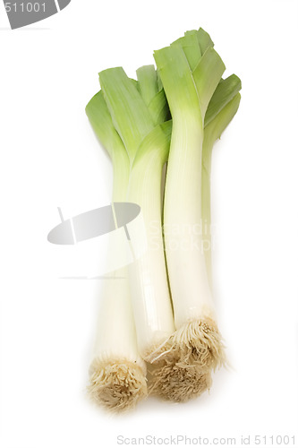 Image of Leek