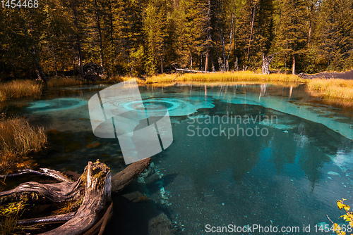 Image of Geyser lake with thermal springs