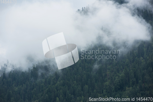 Image of Forested mountain slope