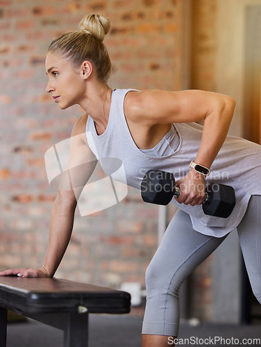 Image of Bodybuilder, dumbbell and woman arm muscle in a gym for training, sports and exercise for wellness. Thinking, sport focus and athlete with weights for fitness and health workout performance