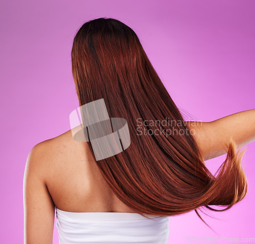 Image of Back of woman, hair and color in studio with extension, beauty or salon shampoo. Behind long hairstyle, cosmetics and shine for growth, aesthetic wellness and clean skincare, healthy textures or glow