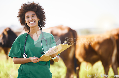 Image of Vet doctor or black woman with cattle farming, agriculture or food industry for healthcare check, inspection and portrait. Professional african person or animal expert with cow paperwork or checklist