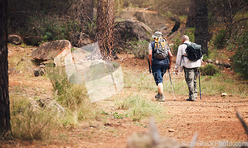 Image of Hiking, forest and people on adventure in nature for fitness, exercise and trekking with backpack. Senior men as friends together outdoor for a hike for freedom, health and wellness in retirement