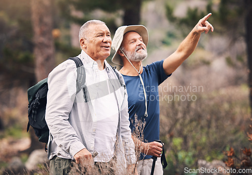 Image of Hiking, looking and mature men in nature for travel, walking and on a backpack adventure in Norway. Search, view and elderly friends doing bird watching and pointing at environment in the mountains