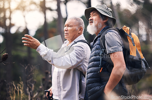 Image of Looking, pointing and mature men in nature for hiking, retirement travel and backpacking in Nepal. Walking, adventure and senior friends on a search while bird watching in the mountains on a walk