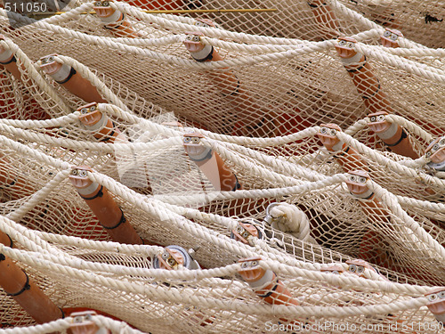 Image of Net and buoys