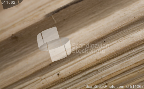 Image of Tree trunk after being cut, background