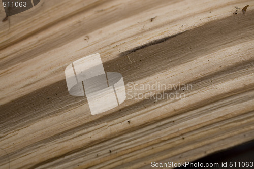 Image of Tree trunk after being cut, background