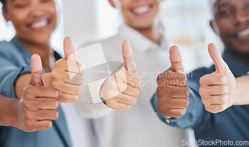 Image of Thumbs up, thank you and winner with hands of business people for yes, approval and emoji. Diversity, community and support with employee and positive gesture for agreement, success and achievement