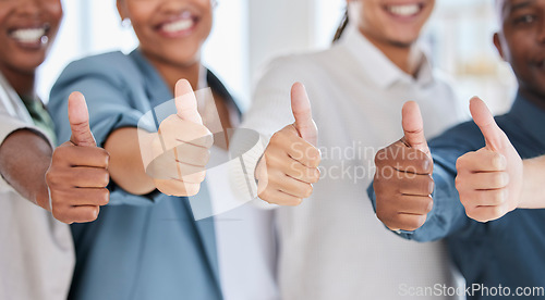 Image of Thumbs up, success and support with hands of business people for yes, approval and emoji. Diversity, community and winner with employee and positive gesture for agreement, thank you and achievement