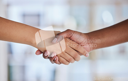 Image of Business people, handshake or collaboration in office, company or startup deal, teamwork or job interview success. Zoom, black woman or hiring manager in shaking hands gesture, thank you or welcome