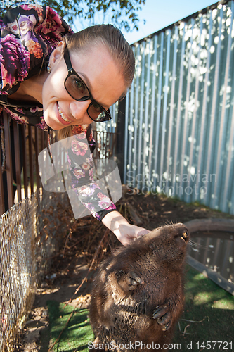 Image of Young woman caress the beaver