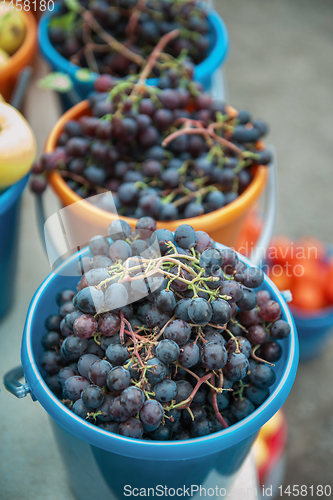 Image of Bucket with grapes