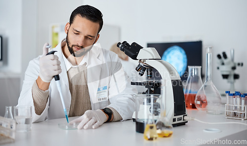 Image of Healthcare, man and serious in laboratory, test tube and results for experiment, medical and research. Science, male researcher and scientist with glass equipment, breakthrough and petri dish