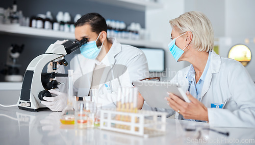 Image of Scientist teamwork, lab and tablet covid 19 vaccine research for company with mask, studying and pharma. Man, woman and science with microscope analysis, tech and medical goals for healthcare future