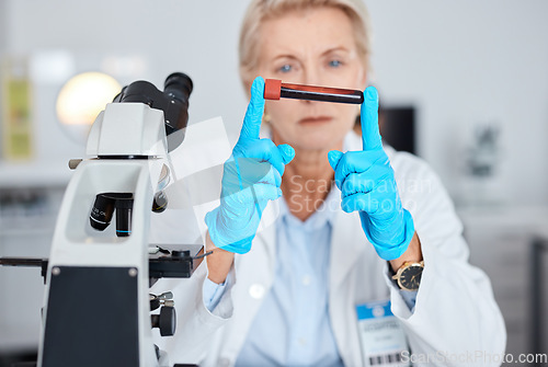 Image of Senior woman, doctor and hands with blood test, vial or sample for scientific research, testing or exam in a lab. Elderly female scientist or medical expert holding DNA for science at laboratory
