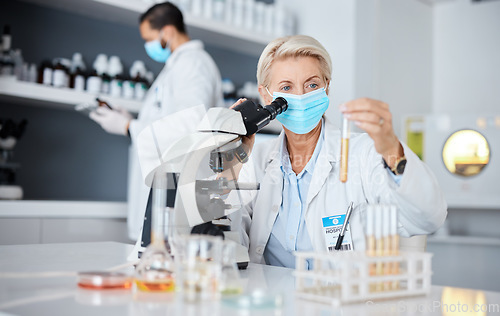 Image of Microscope, face mask and scientist woman analysis of bacteria, virus or covid liquid solution in laboratory. Biotechnology, vaccine research or medicine study of science person, expert and test tube