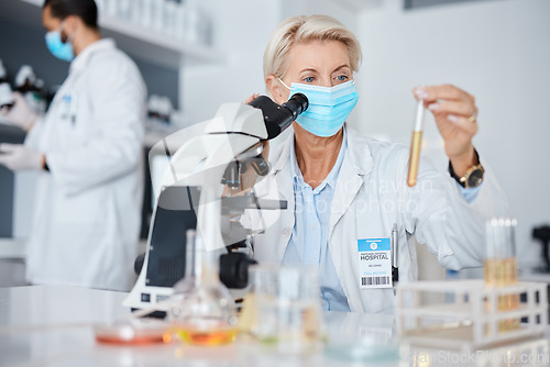 Image of Science, microscope and woman face mask, test tube analysis of bacteria, virus or liquid solution in laboratory. Health research, medical vaccine or medicine scientist, expert of pharmaceutical data