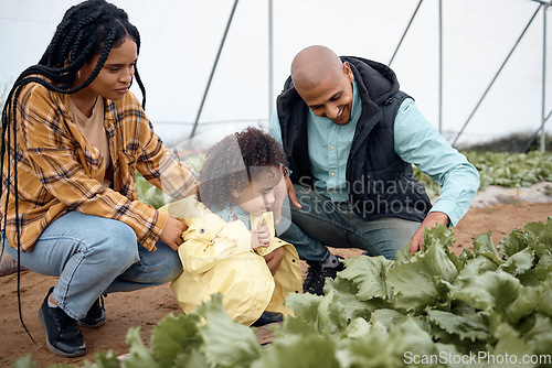 Image of Black family, agriculture farm and greenhouse garden to check growth of plants. Love, agro learning and care of father, mother and child, girl or kid on field for harvest, farming and sustainability.