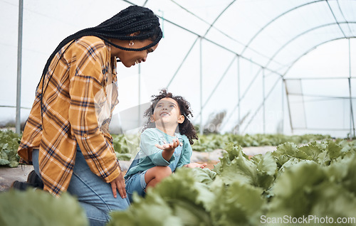 Image of Agriculture, farm and mother with girl in greenhouse garden to check growth of plants. Black family, agro question and care of mom laughing with kid on field for farming, learning or sustainability.