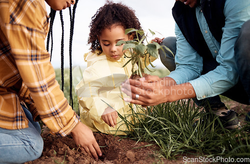 Image of Farming family, child or planting in soil agriculture, sustainability learning or future growth planning in climate change. Man, woman or kid and green leaf plant in environment nature or countryside