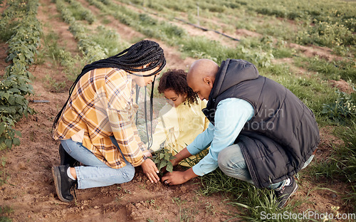 Image of Farming family, kid or planting in soil agriculture, sustainability learning or future growth planning of earth food. Man, woman or farmer child and green leaf plant in nature countryside environment