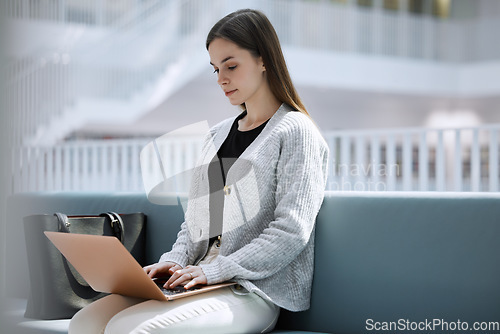 Image of Research, library or woman on laptop for university communication or blog news with blurred background. Typing, digital or girl student on tech for networking, website search or online content review