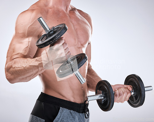 Image of Fitness, strong or man with dumbbells in hands for exercise, training or workout for body goals. Gym motivation, sports or healthy bodybuilder weightlifting to grow biceps muscle isolated in studio