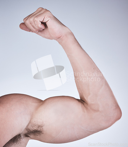 Image of Arm muscle, man and fist with body, health and fitness with strong person isolated on studio background. Skin, bodybuilder and flex biceps, wellness and weightlifting, exercise growth and muscular