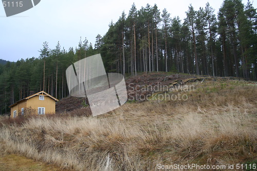 Image of rural landscape