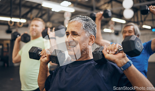 Image of Training, group and senior men exercise together at the gym lifting weights with dumbbells equipment for strength. Elderly, old and fitness people workout in a sports club for wellness and health