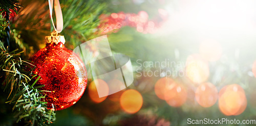 Image of Christmas, tree and decoration in the festive season for joy, celebration or december holiday in winter.