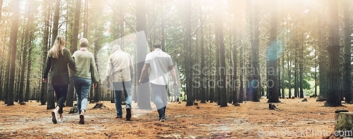 Image of Hiking, group of people and forest trees for nature walk, journey and adventure in lens flare. Trekking family, friends or community with fitness and natural environment for wellness in Alaska woods