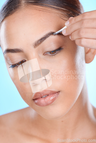 Image of Eyebrow, tweezers and woman in studio for beauty, grooming and hair removal on blue background. Skincare, hygiene and brow care by girl model relax with epilation, tool and skin treatment routine