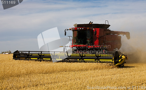 Image of Autumn Harvest