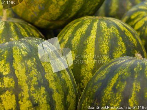 Image of watermelons