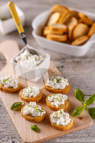 Image of Bruschetta sandwiches with cottage cheese