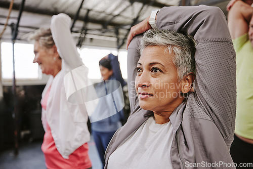 Image of Senior women, stretching arms and group for health, fitness or wellness for focus, support and motivation. Old woman, team workout and muscle development in retirement with exercise, mindset and goal