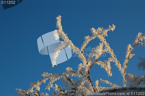 Image of frost