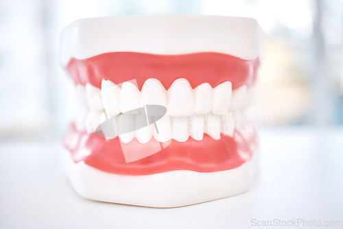 Image of Dental, teeth model and orthodontics with healthcare and closeup, oral hygienist and health insurance. Veneers, dentistry equipment and healthy gums with fresh breath, medical and tooth care