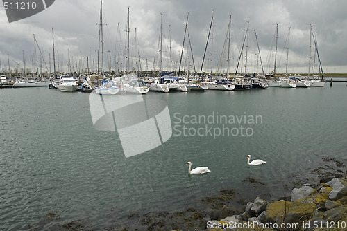 Image of Yacht harbor