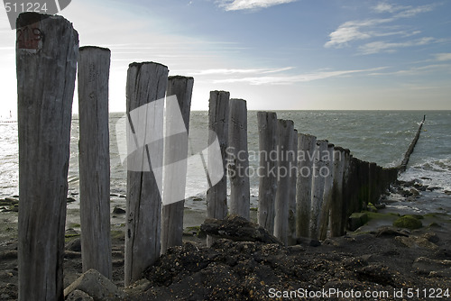 Image of North Sea beach with breakwater,Netherlands