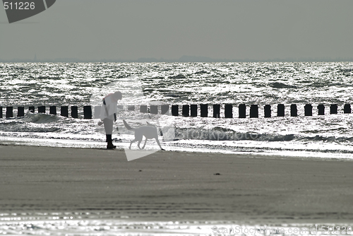 Image of Woman and dog walking on the beach