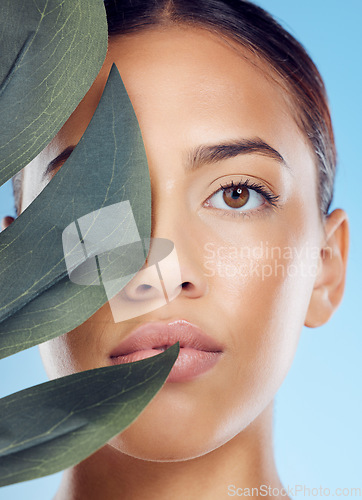 Image of Leaf, skincare and portrait of a woman in a studio with a beauty, natural and facial treatment. Health, wellness and female model from Brazil with a plant for organic face routine by blue background.