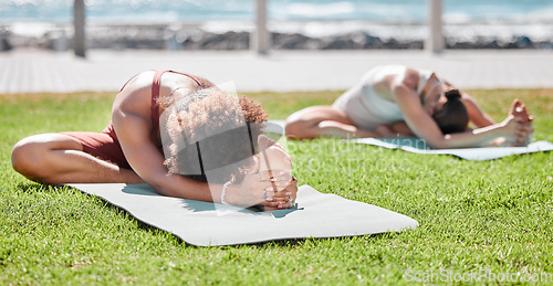 Image of Women, yoga friends and stretching on lawn for wellness, strong legs and body goals by ocean in morning. Woman teamwork, fitness and exercise on grass with support, focus and mindfulness in summer