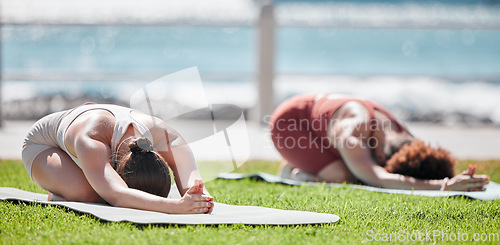 Image of Woman, yoga friends and stretching on grass for wellness, strong legs and body in morning sunshine by sea. Women teamwork, fitness and workout by ocean with support, focus and mindfulness in summer
