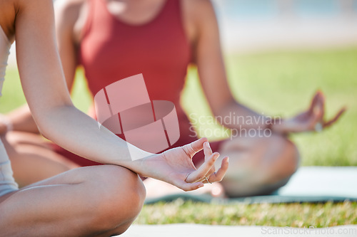 Image of Yoga class, lotus hands and women for zen fitness, exercise and mindfulness, healing and peace in park grass. Meditation, nature and calm people, personal trainer for mental health and body wellness