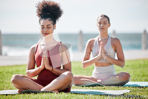 Image of Yoga, praying pose and couple of friends or women in zen fitness, exercise and mindfulness, healing and peace in park. Meditation, spiritual and calm people or USA personal trainer prayer or namaste