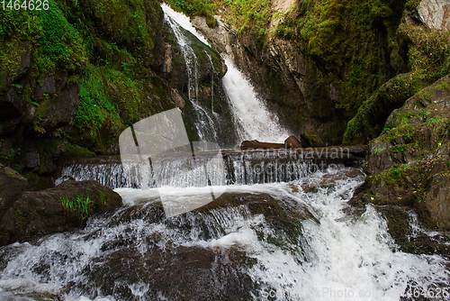 Image of Choodor Waterfall at Lake Teletskoye