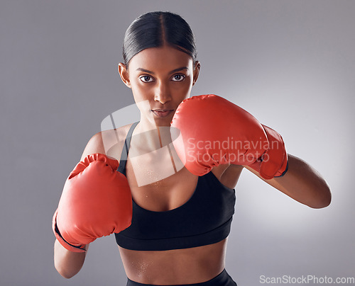 Image of Boxer, fight and portrait of woman in studio for sports exercise, strong muscle or mma training. Indian female, boxing workout and fist gloves for impact, energy and warrior power in battle challenge